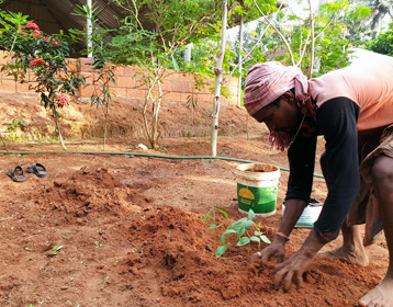 Kerala organic farming